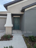 10215 Shady Preserve Dr in Riverview, FL - Foto de edificio - Building Photo