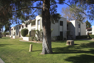 Saddletree Apartments in Scottsdale, AZ - Building Photo - Building Photo