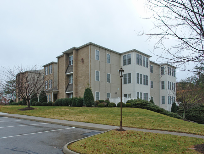 Glen Ivy in Roanoke, VA - Building Photo - Building Photo