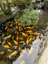 111 Kahului Beach Rd in Kahului, HI - Building Photo - Building Photo