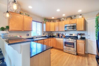287 Pyrite Terrace in Colorado Springs, CO - Building Photo - Building Photo