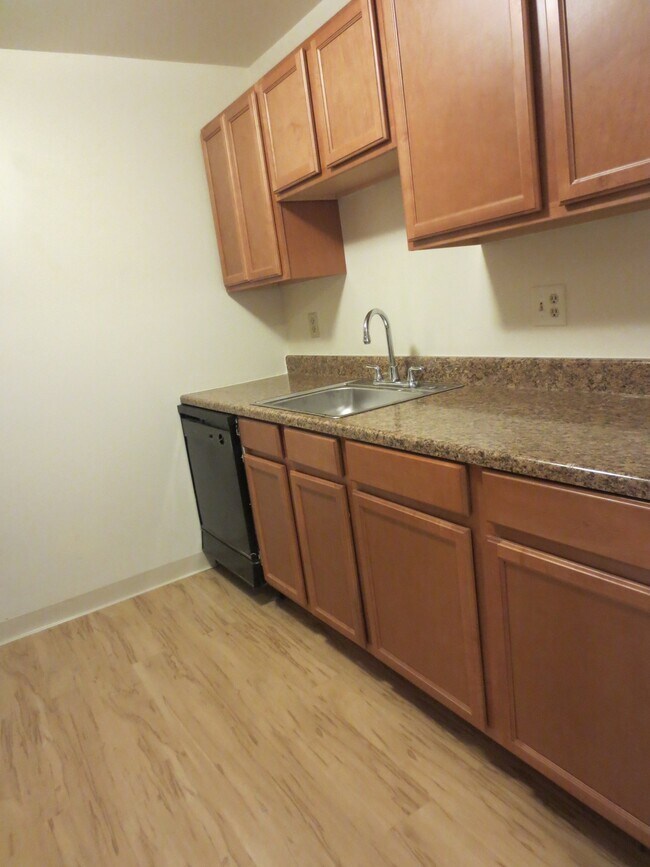 6350 Forward Ave, Unit Unit 21 in Pittsburgh, PA - Building Photo - Building Photo