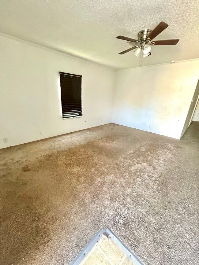11810 Greenglen Dr in Houston, TX - Building Photo - Building Photo
