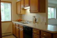 Lincoln Square Apartments in Owatonna, MN - Building Photo - Building Photo