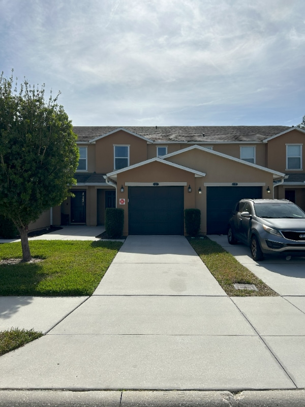 property at 217 Michelangelo Pl