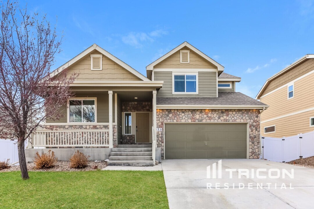 375 Mount Bross Ave in Severance, CO - Building Photo