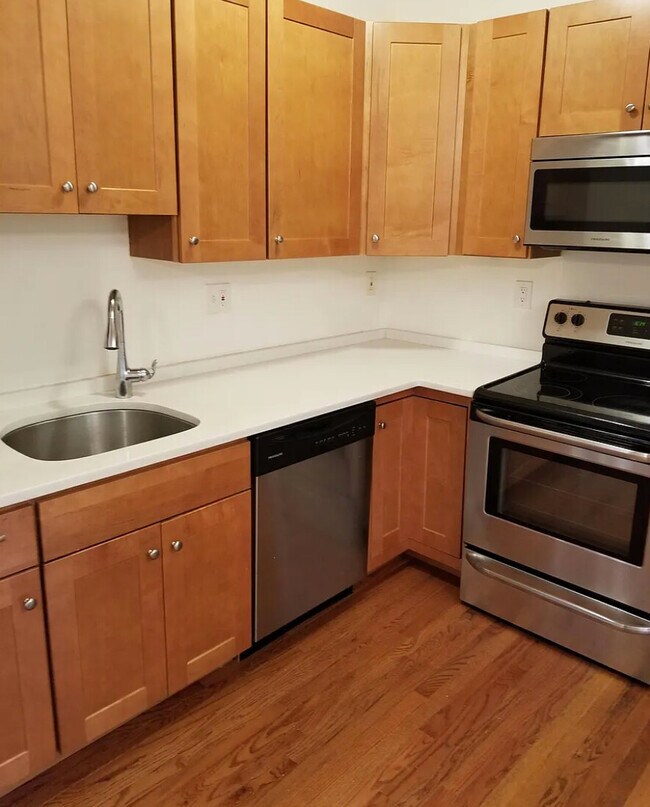 43 E Springfield St, Unit 4 in Boston, MA - Building Photo - Building Photo