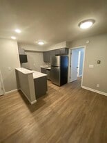 Birch Street Apartments in Champaign, IL - Building Photo