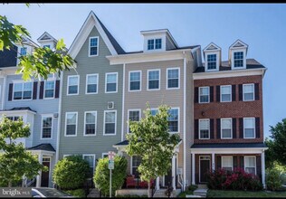 81 Linden Pl in Towson, MD - Foto de edificio - Building Photo