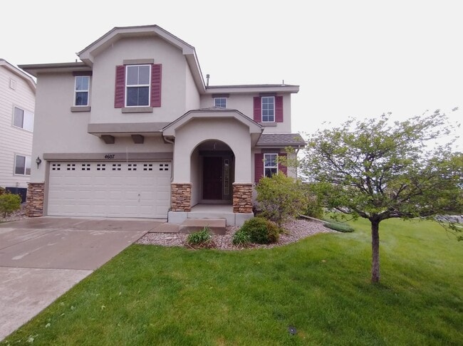 4607 Fish Hawk Pt in Colorado Springs, CO - Building Photo - Building Photo