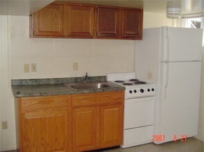 238 N Summit St, Unit Apt 2 in Ypsilanti, MI - Building Photo - Building Photo