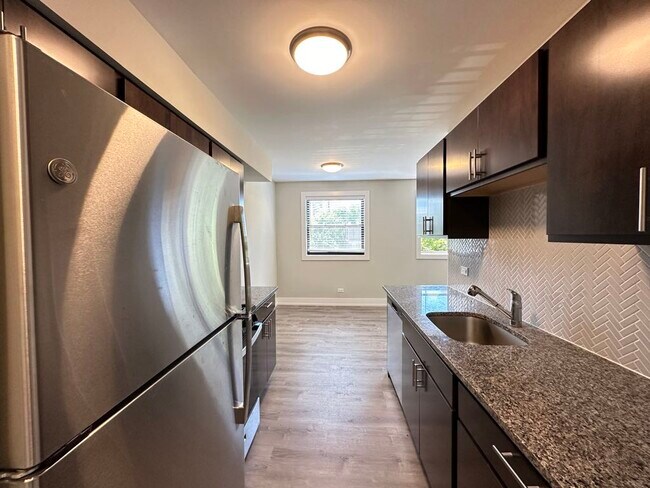 533 W Surf St in Chicago, IL - Building Photo - Building Photo