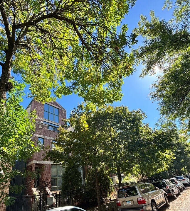 869 N Paulina St in Chicago, IL - Building Photo