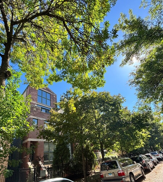 property at 869 N Paulina St