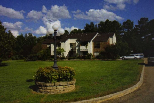 Meadow Green Apartments in Big Sandy, TX - Building Photo