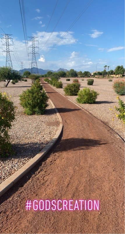 12029 W Apache St in Avondale, AZ - Building Photo - Building Photo
