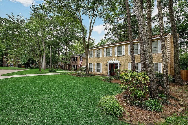 11 Berryfrost Ln in Spring, TX - Building Photo - Building Photo