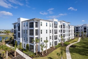 Bainbridge Avenues Walk