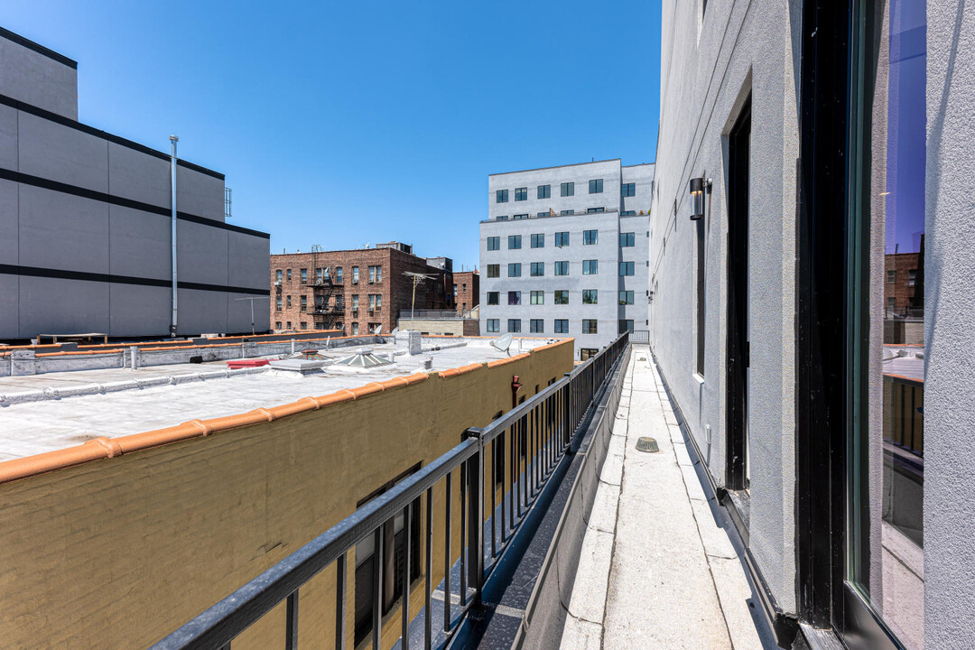 Martense Street Apartments in Brooklyn, NY - Building Photo