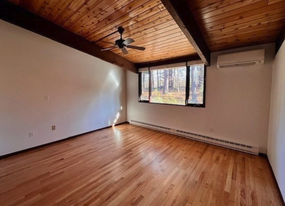 12 White Pine Ln in Lexington, MA - Building Photo - Building Photo