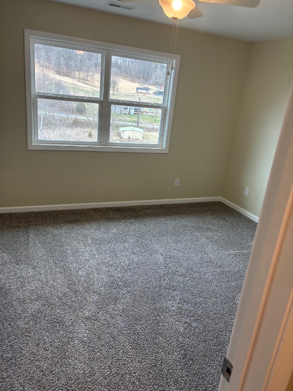 135 Old Fall Creek Rd in Blountville, TN - Foto de edificio - Building Photo