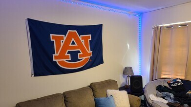 164-162-164 Burton St in Auburn, AL - Building Photo - Building Photo