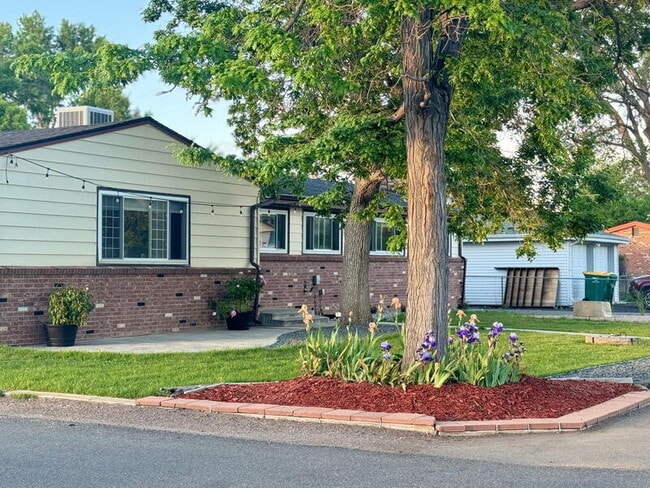 14195 W 50th Ave in Golden, CO - Building Photo - Building Photo
