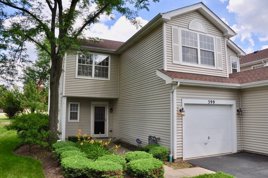 399 Glen Byrn Ct in Schaumburg, IL - Building Photo