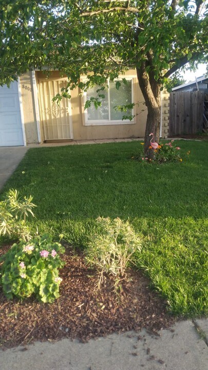 8000 68th Ave in Sacramento, CA - Building Photo