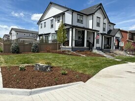 2828 Low Meadow Blvd in Castle Rock, CO - Building Photo