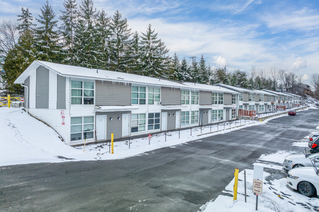 The Studios at 401 in Syracuse, NY - Building Photo