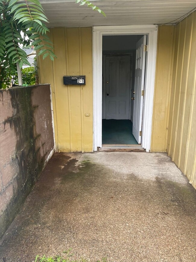 property at 251 W 20th St