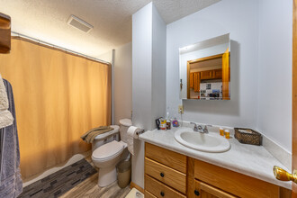 1201 1st St SW in Rochester, MN - Building Photo - Building Photo