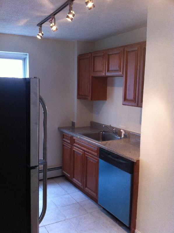 27 Mount Vernon St, Unit 1 in Cambridge, MA - Building Photo - Building Photo
