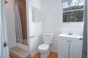 342 Vine St in San Antonio, TX - Foto de edificio - Building Photo