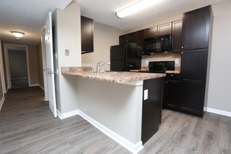 Austin Park and Clay Villa Apartments in Frankfort, KY - Building Photo - Interior Photo