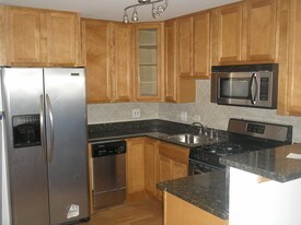 313 Elgin Ave, Unit 1 in Forest Park, IL - Building Photo