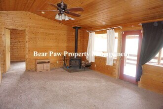 347 Gold Flake Terrace in Bailey, CO - Building Photo - Building Photo