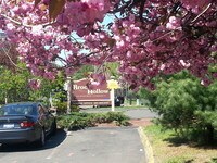 Building Photo - Brook Hollow Apartment Homes in New Haven, Connecticut