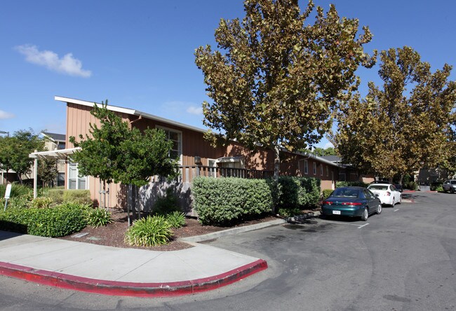 Stone Pine Meadow in Tracy, CA - Foto de edificio - Building Photo