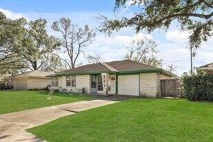 1207 Stonecrest Dr in Houston, TX - Building Photo