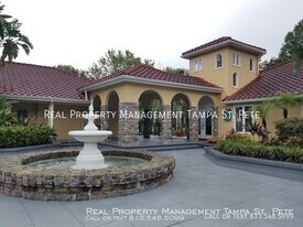 3466 St Bart Ln in Tampa, FL - Building Photo