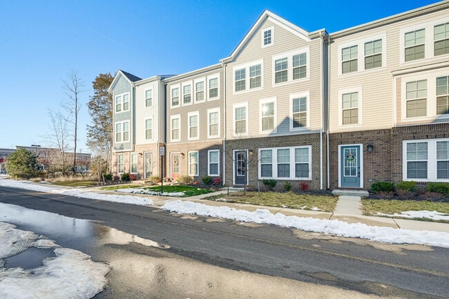 14566 Alsace Ln in Gainesville, VA - Foto de edificio - Building Photo