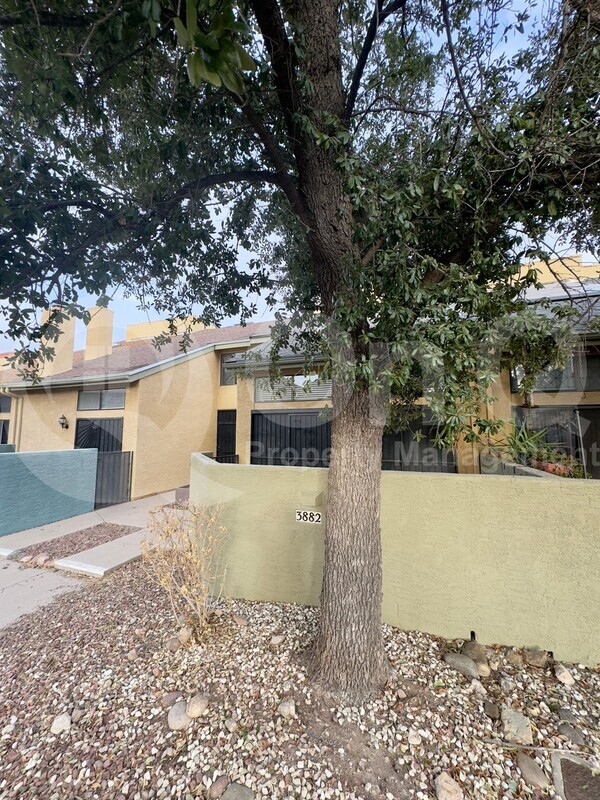 3882 Paseo de Las Canchas in Tucson, AZ - Building Photo - Building Photo