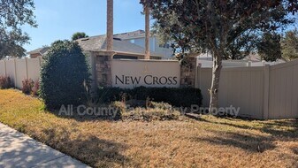 17449 New Cross Cir in Fish Hawk, FL - Building Photo