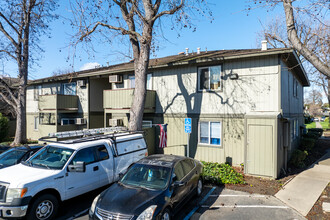 Shamrock in Concord, CA - Foto de edificio - Building Photo