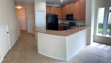 20474 Needletree Dr in Tampa, FL - Building Photo - Building Photo