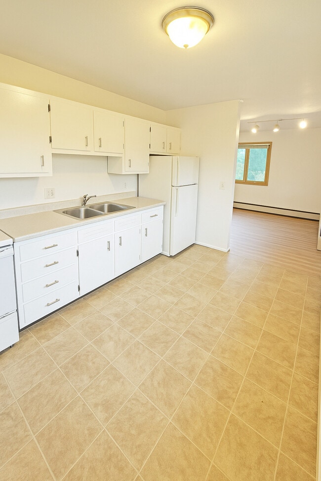 2105 Lake Point Dr in Madison, WI - Building Photo - Building Photo