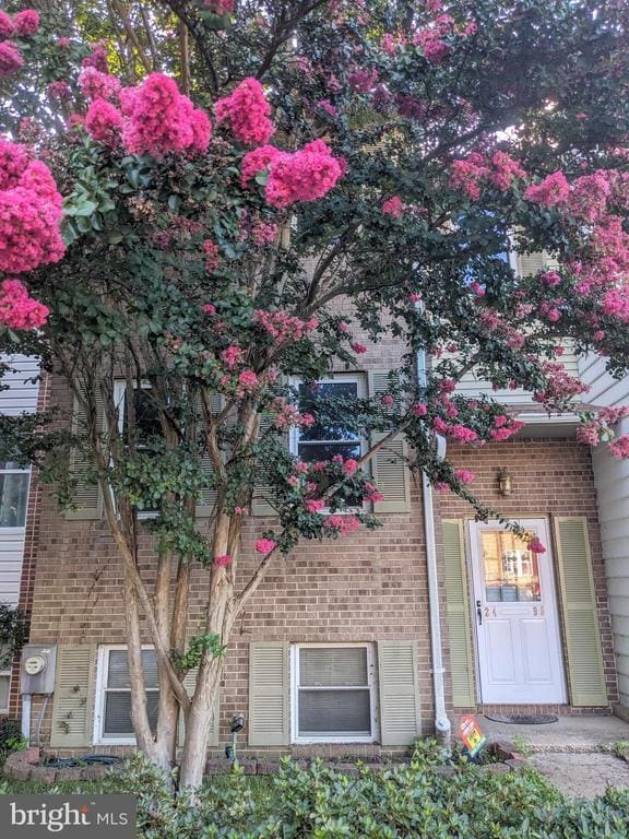 property at 2495 Vineyard Ln