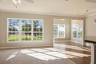 809 Whispering Wind Dr in Georgetown, TX - Building Photo - Building Photo